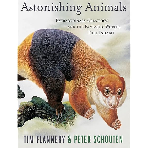 A Gap in Nature: Discovering the World's Extinct Animals: Flannery